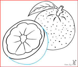 How To Draw An Orange