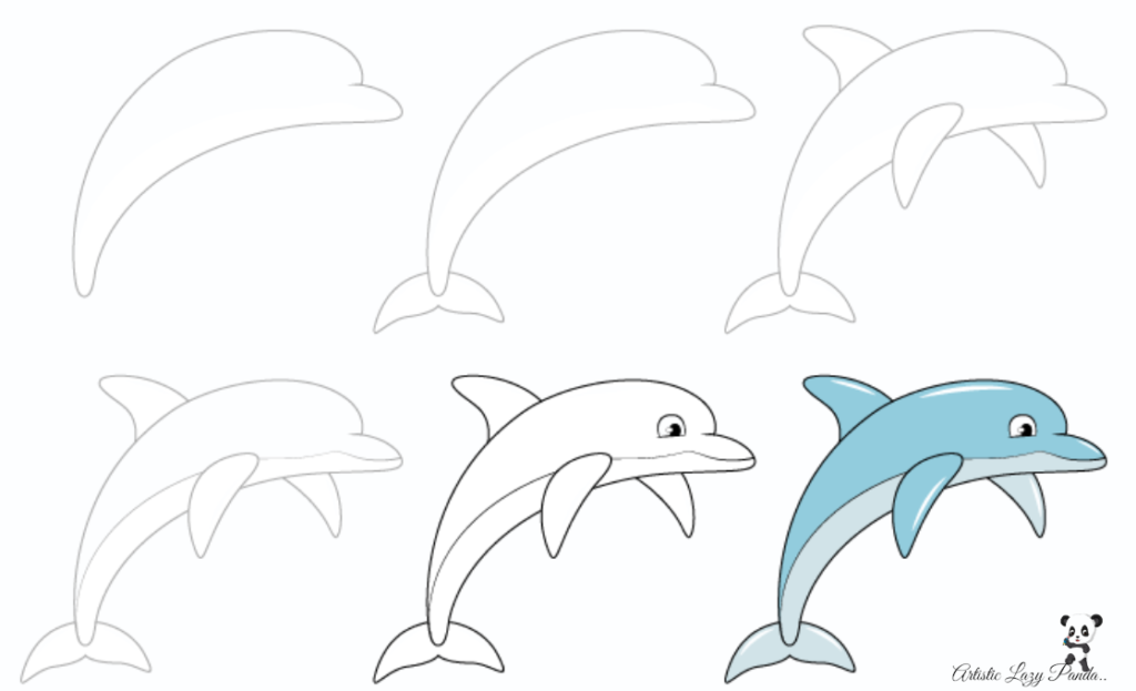 Step by step dolphin drawing