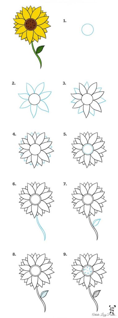 how to draw sunflower