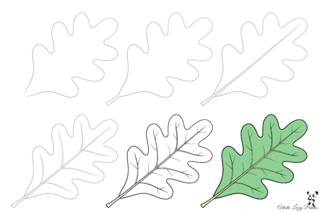draw oak leaf