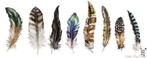 Step wise feather drawing