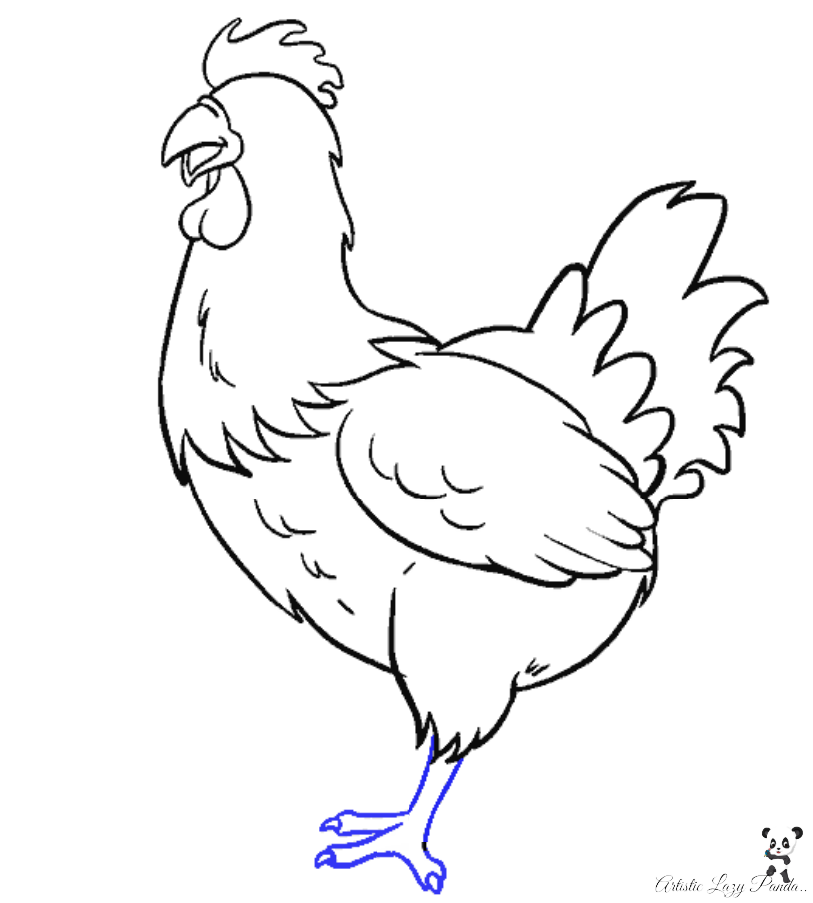 How to draw chicken