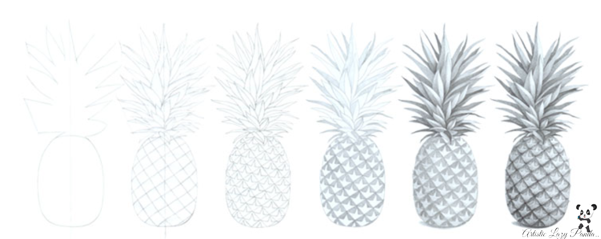 Pineapple Drawing Tutorial